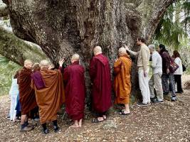 FullSizeRender2_original