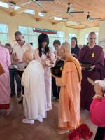 IMG_7949_Medium_original